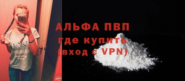 ешки Белокуриха