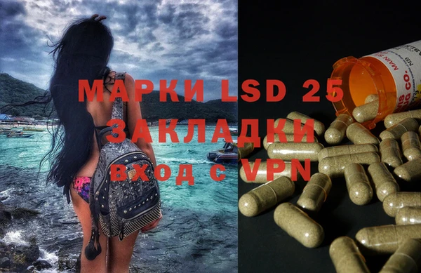 ешки Белокуриха