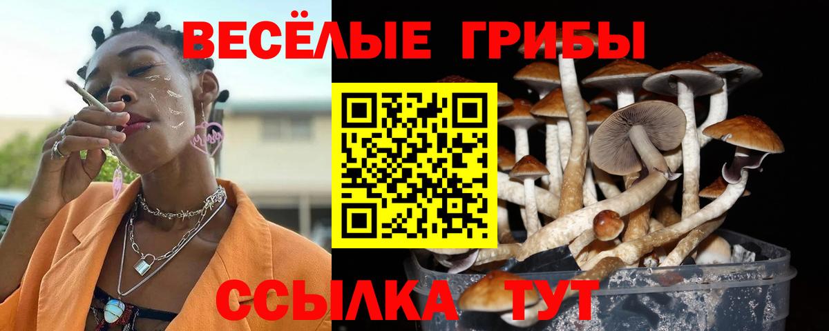 Псилоцибиновые грибы MAGIC MUSHROOMS  Вход с VPN  Бузулук  Галлюциногенные грибы мухоморы 